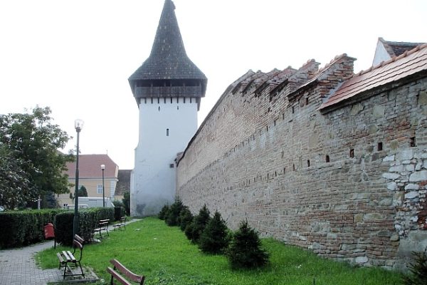 mediasului mediasului